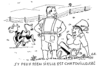 illustration de Gérard Rajaut